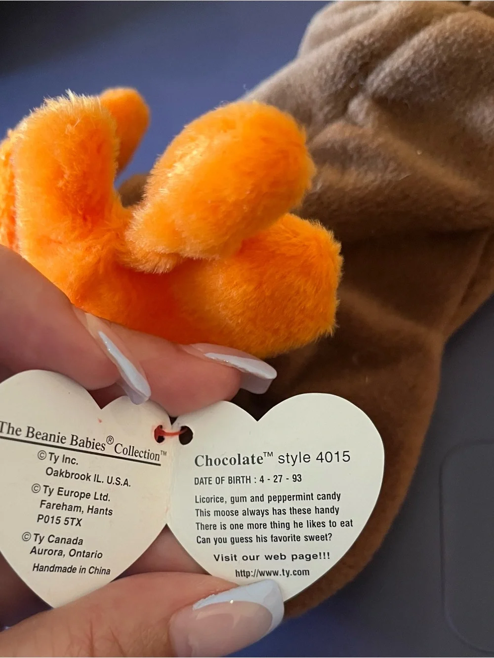 Chocolate the Moose Beanie Baby